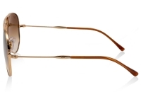 Слънчеви очила RAY-BAN RB 3825 001/51